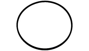 Jacuzzi O-Ring For Trap Lid 6"x1/8" | 47025853R | 4628-14