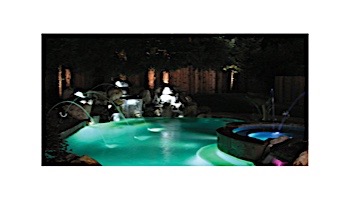 Jandy WaterColors COLOR Spa Light Stainless Steel Facering | LED, 12V,  30' Cord | CSLVLEDS30