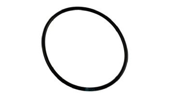 Zodiac Jandy O-Ring Space Saver Valve | 6749