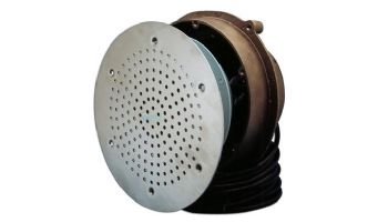 Pentair .75" IPS Thread Paragon Cast Bronze Niche for UW30 Speaker with Mounting Hardware | 68102