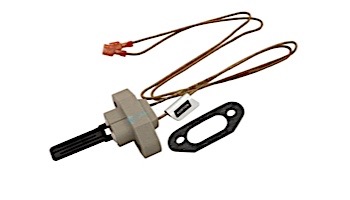 Zodiac Jandy Igniter Assembly for Jandy Hi-E2 | R0016400