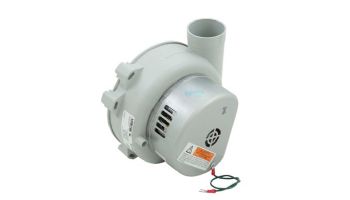 Zodiac Jandy Combustion Blower | R0308200