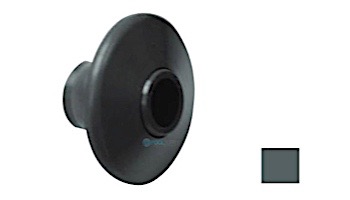AquaStar 1" Australian Return Fitting with Adjustable Eyeball Knock-in 1" Orifice | Dark Gray | 505