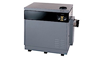 Jandy Hi-E2 ASME Pool Heater | 350,000 BTU Natural Gas | Dual Thermostat | Bronze Headers | Salt Water | EHE350NS