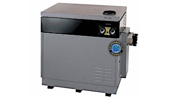 Jandy Hi-E2 ASME Pool Heater | 350,000 BTU Natural Gas HSI | Dual Thermostat | Bronze Headers| EHE350NC