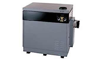 Jandy Hi-E2R Pool Heater | 350,000 BTU Propane | Dual Thermostat | Bronze Headers | EHE350PB