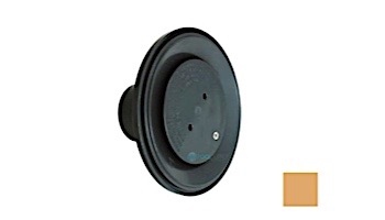 AquaStar 4" Adjustable Floor Return Fitting with Water Stop | Tan | 4DIV108