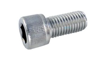 Pentair Legend Sweep Hose Adjustment Screw Stainless Steel | 370198