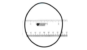 Pentair O-Ring for Housing Body | E13