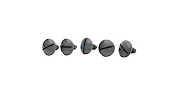 Pentair Wheel Screw Platinum 5pk Gray | LLC55PM
