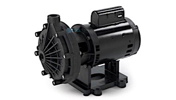 Pentair Letro Universal Booster Pump | .75HP 115V/230V | EC-LA01N