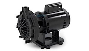 Pentair Letro Universal Booster Pump | .75HP 115V/230V | EC-LA01N