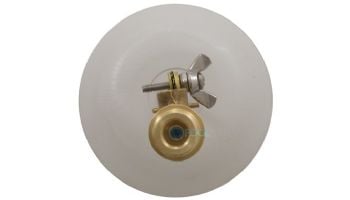 Pentair AutoFill Float Valve | 3/8" | Gold-Brass | T26
