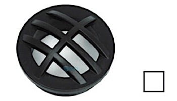 AquaStar 1.5" Safety Grate Insert with 1.5" MPT | Dark Gray | CFM105