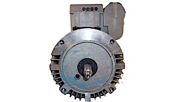A.O. Smith GUARDIAN Round Frame Threaded Shaft Motor | 3HP 230V | BG131A