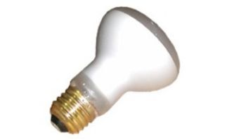 Halco R20 Short Spa Flood Incandescent Lamp | 100W 125V | HP20NFL39/HX
