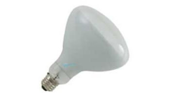 Halco R40 Medium Base Flood Hard Glass Incandescent Lamp | 300W 130V | R40FL300/HG 104035