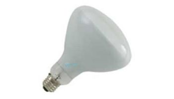 Halco R40 Medium Base Flood Pool Incandescent Lamp | 300W 12V | R40FL300/12V 104040