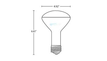 Halco R40 Medium Base Flood Pool Incandescent Lamp | 300W 12V | R40FL300/12V 104040