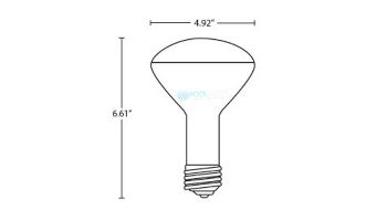Hayward R40 Reflector Flood Warm White Pool Light Incandescent | 120V 400W | R40FL400/HG 104038