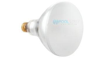 Hayward R40 Reflector Flood Warm White Pool Light Incandescent | 120V 400W | R40FL400/HG 104038