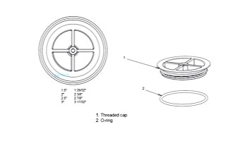 AquaStar Winterizing Plaster Cap with O-Ring 1.5" | Black | CS102
