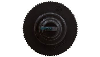 Pentair Drain Plug Assembly | 150055