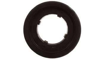Pentair 2" FNS Plus Bulkhead with O-Ring | 190141