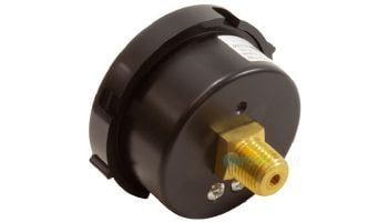 Pentair Pressure Gauge with Indicator | Rear Mount | 0-60 PSI | 190059 190059Z