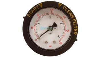 Pentair Pressure Gauge with Indicator | Rear Mount | 0-60 PSI | 190059 190059Z