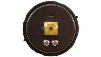 Pentair Pressure Gauge with Indicator | Rear Mount | 0-60 PSI | 190059 190059Z