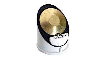 Pentair Check Valve Assembly | 191437