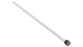 Pentair Air Bleed Tube Assembly | 170028