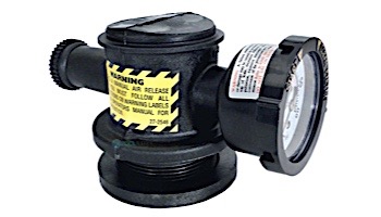 Pentair Automatic Air Relief Assembly | 261003