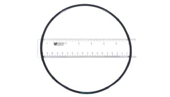 Pentair 2" DE Multiport Valve Replacement Parts | Top Valve O-Ring | 271151