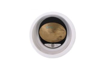 Pentair 2" Union with Check Valve | 274725