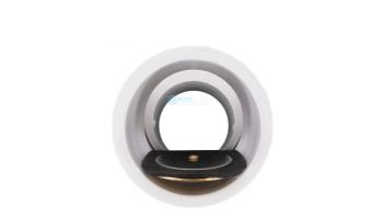 Pentair 2" Union with Check Valve | 274725