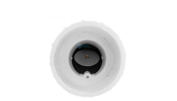 Pentair 2" Union with Check Valve | 274725