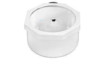 Pentair Cap and Strainer Assembly | 274411