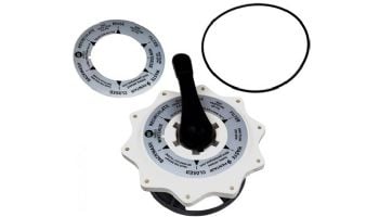 Pentair 2" Valve Top Assembly | 270067