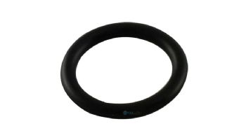 Pentair DE Multiport Valve Replacement Parts | Stem O-Ring | 191479