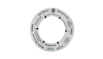 Pentair 2" DE Multiport Valve Replacement Parts | 2" PVC Valve Label | 273207