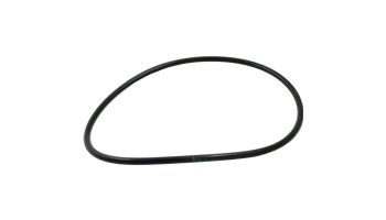 Pentair 2" DE Multiport Valve Replacement Parts | Body O-Ring | 275333