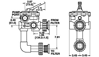 Pentair DE Multiport Valve Kit 2" Slip Connection with 7.5" Port Spacing for FNS, FNS Plus, & NSP Filters | 261152