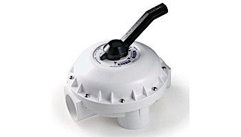 Pentair Hi-Flow Multi-Port PVC Backwash Valve for Side Mounted  D.E. Filters | 261142