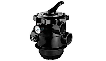 Pentair Tagelus Multi-Port Valve Clamp Style with 2" Ports | 261185