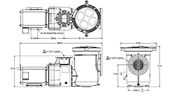 Pentair EQW500 Series 5HP Nema Premium Efficiency Single Phase Waterfall Pool Pump with Strainer 208-230V | 340028