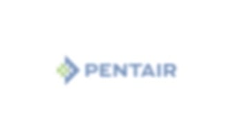 Pentair Replacement Motor Square Flange 2 Speed | 1A 115V 0.75HP | Almond | 350088S