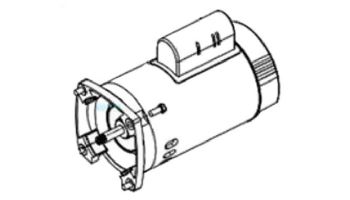 Pentair Motor Square Flange | .75HP 208/230V 3-Phase 60 Hz | Almond | 355001S