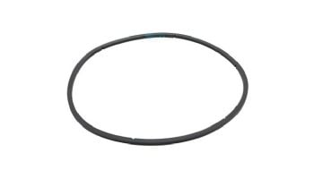 Pentair EQ Series Strainer Lid Gasket | 1" | 350166 350166Z